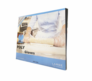 Poly (LDPE) Disposable Gloves